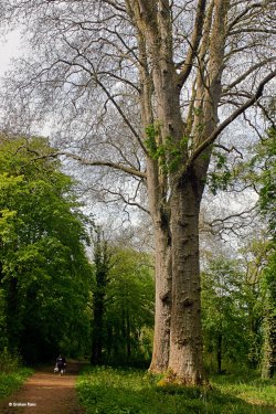 Blandford Forum in Dorset