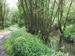 Dinton Pastures Country Park