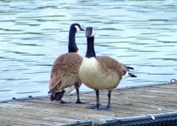 Kings Mill reservoir