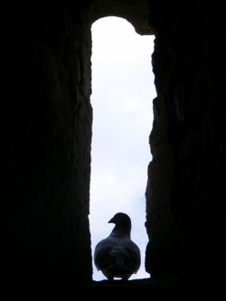 Castle Rising Castle