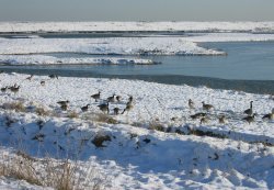 Winter at Freiston Shore