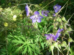 Anglers Country Park