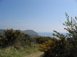 Golden Cap in the distance