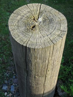 Post, Littleton Sailing Club