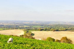 Walbury Hill, near Inkpen, Berkshire