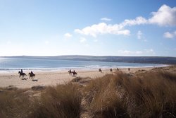 A wintery day, Studland