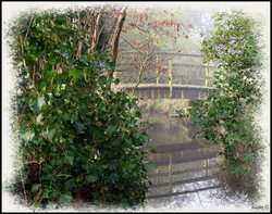 Bridge and Reflections