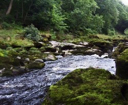 The Strid