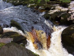 The Strid