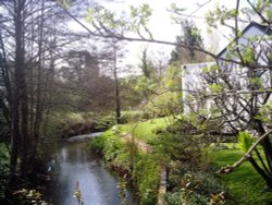 River Nadder flowing through Tisbury