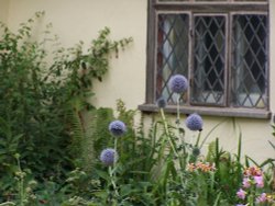 By the window of Willy Lotts cottage