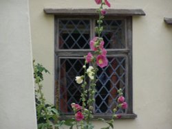 In the garden of Willy Lotts cottage