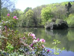 The lake at Cantonteign