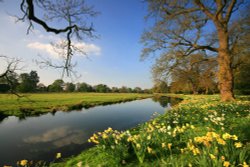 The River Trent, Shugborough Estate