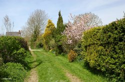 The Sydling Valley, Dorset
