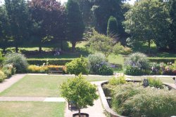 In the Botanic Gardens