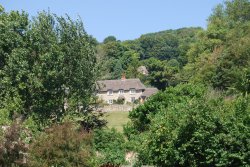 In the Botanic Gardens