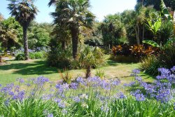 In the Botanic Gardens