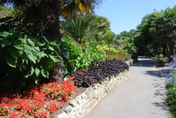 In the Botanic Gardens