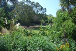 In the Botanic Gardens