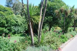 In the Botanic Gardens