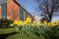 Spring display at Land Registry