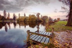 Pickering Park, Autumn 3