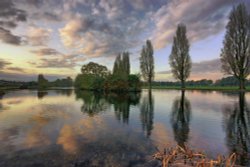 Pickering Park, Autumn
