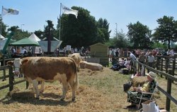 Driffield Show0016