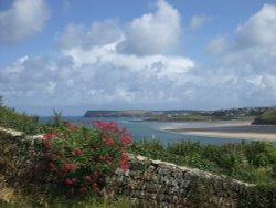 Pretty wall near Padstow