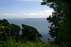 View 2 from the road into Clovelly.