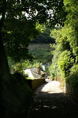 The steep cobbled road to Clovelly.