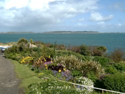 The garden on the way to the pottery.