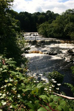 Aysgarth Falls