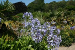 In the Botanic Gardens