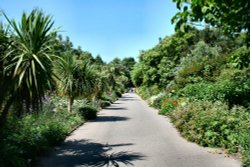 In the Botanic Gardens