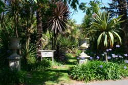 In the Botanic Gardens