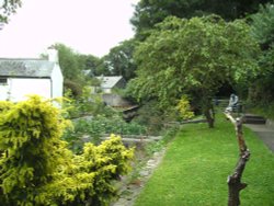 Small garden alongside the walkway