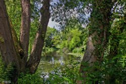 Sturminster Newton in Dorset