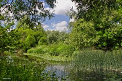 Sturminster Newton in Dorset