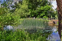 Sturminster Newton in Dorset