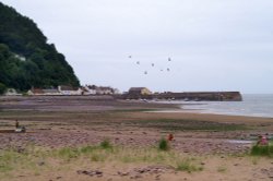 Playing on the beach.