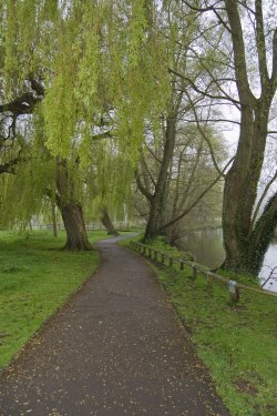 Path beside the river
