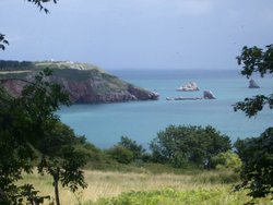 Berry Head St.Mary's Bay, Brixham