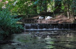 Thornton le Dale 001