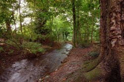 Thornton le Dale 005