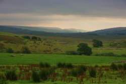 Moorland near Ingleton
