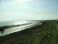 The track from Great Yarmouth to Berney Arms