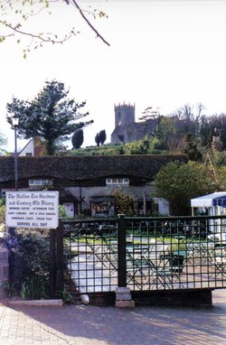 The Hollies Tea Gardens.