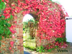 A view of Wells-next-the-Sea